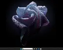 w11-home-1.webp