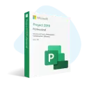 Project 2019 Professional